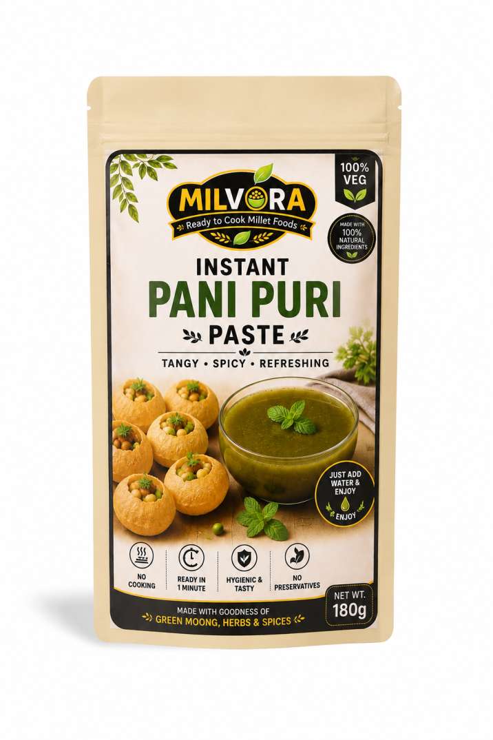 INSTANT PANIPURI PASTE